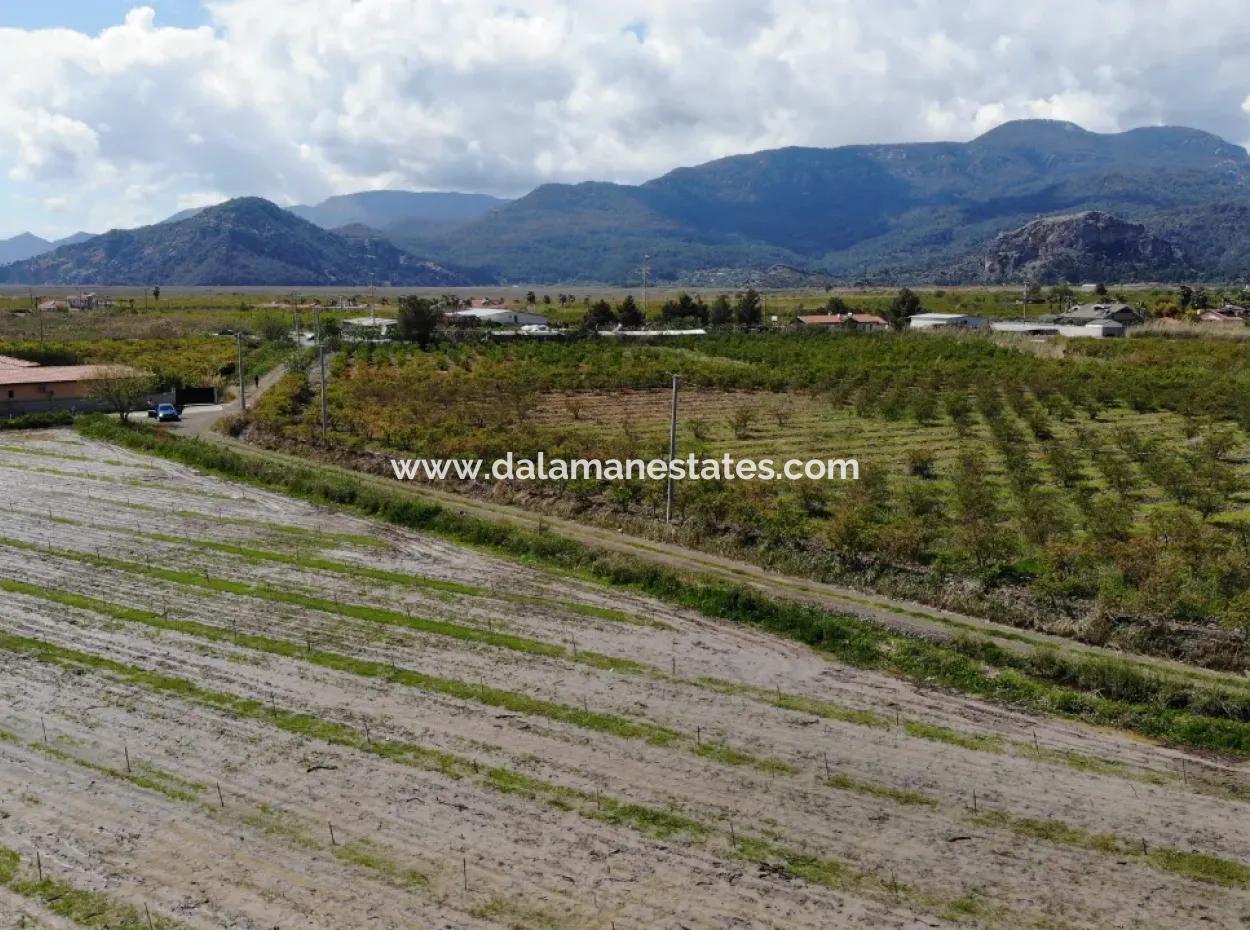Dalyan Iztuzu Road Single Deed Feld Zum Verkauf