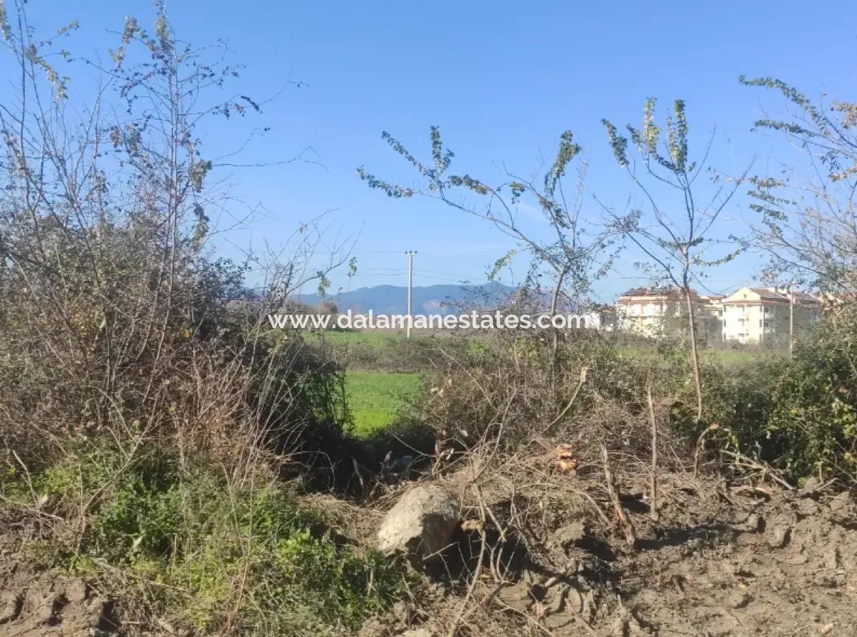 Grundstück Zum Verkauf In Çinar Arkasi Şerefler Mahallesi