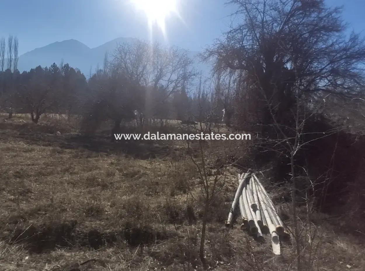 Grundstück Zum Verkauf In Gursu Plateau