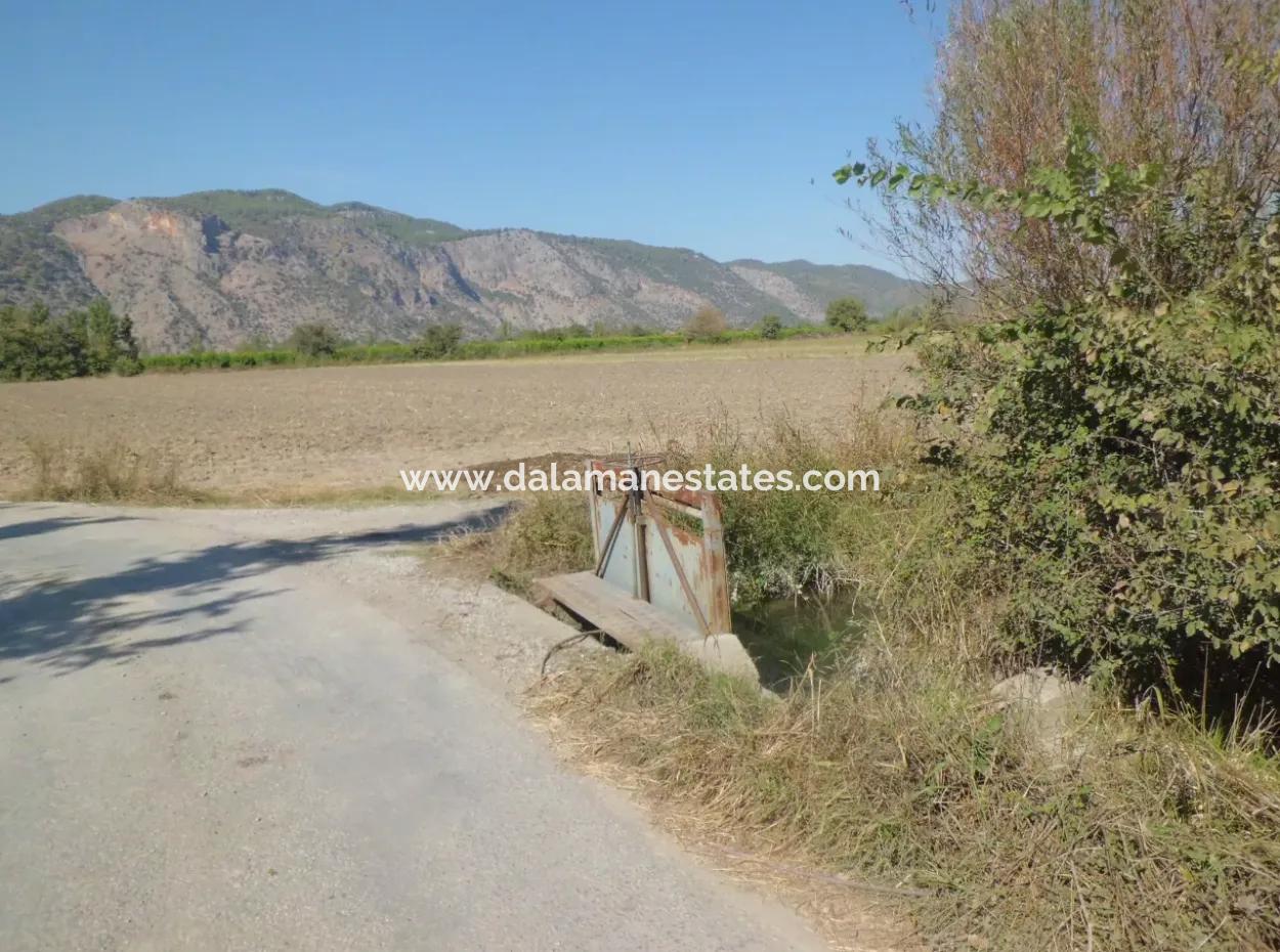 Field Share For Sale