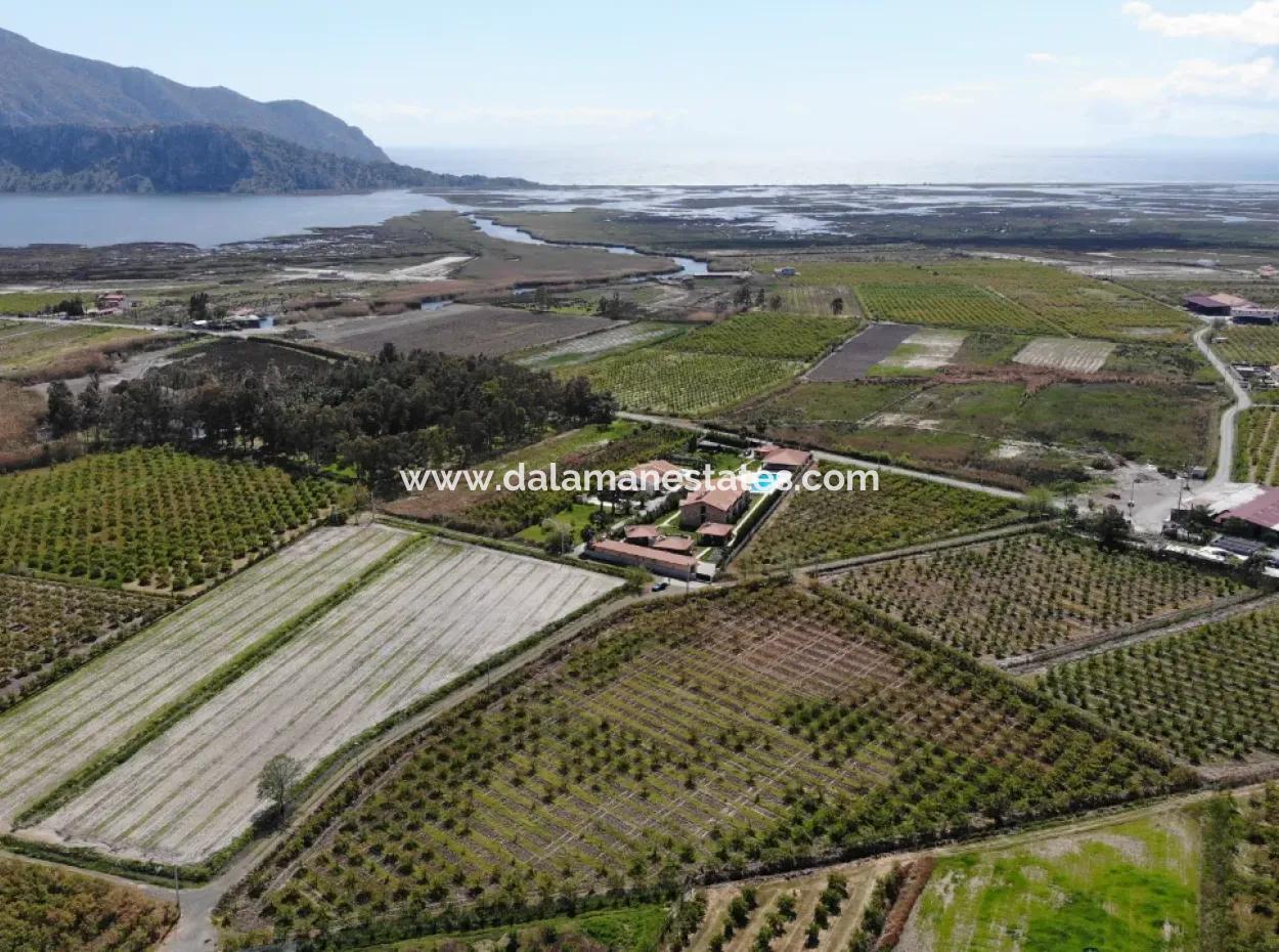Dalyan Iztuzu Road Single Deed Field For Sale