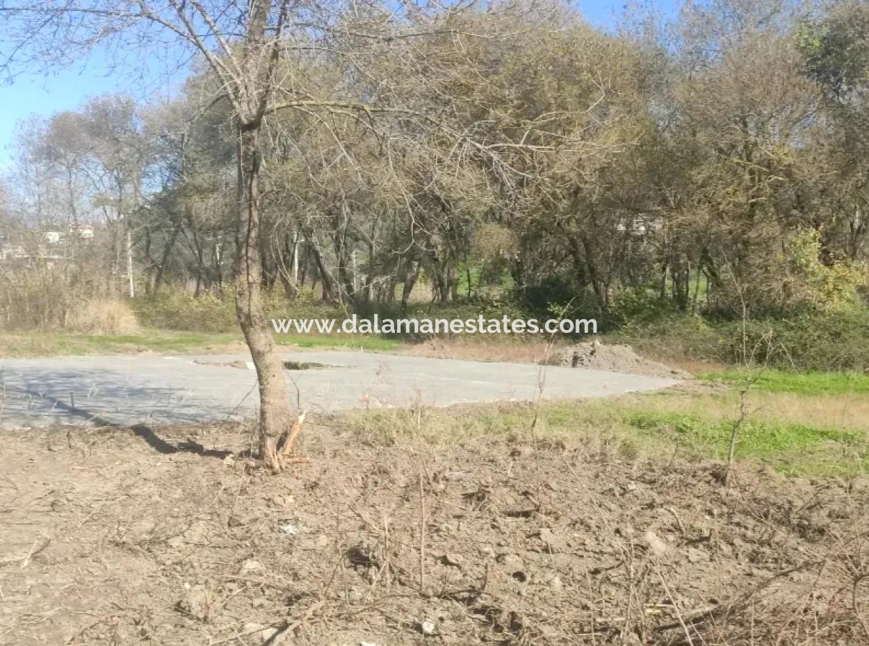 Land For Sale In Çinar Arkasi Şerefler Mahallesi