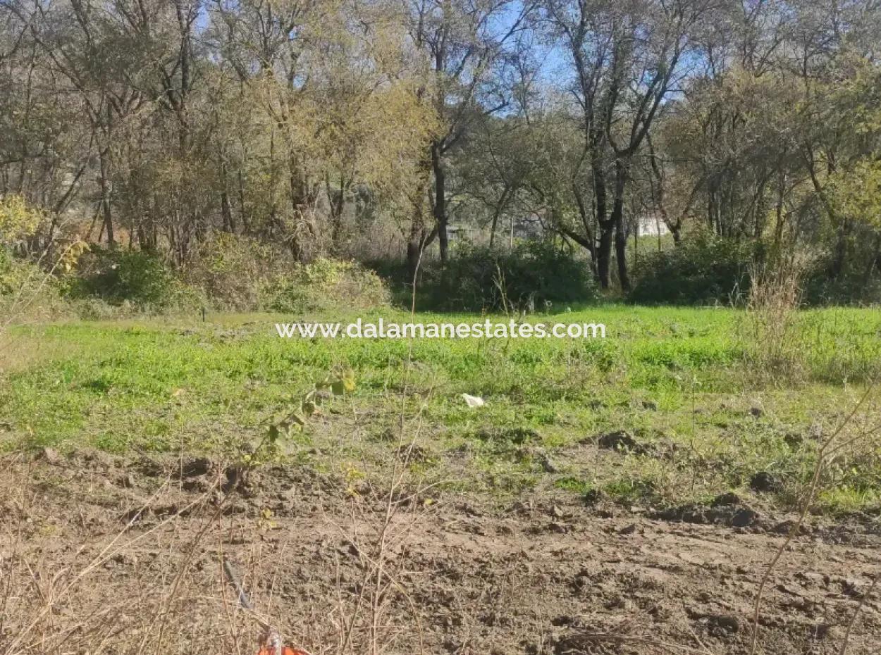 Land For Sale In Çinar Arkasi Şerefler Mahallesi