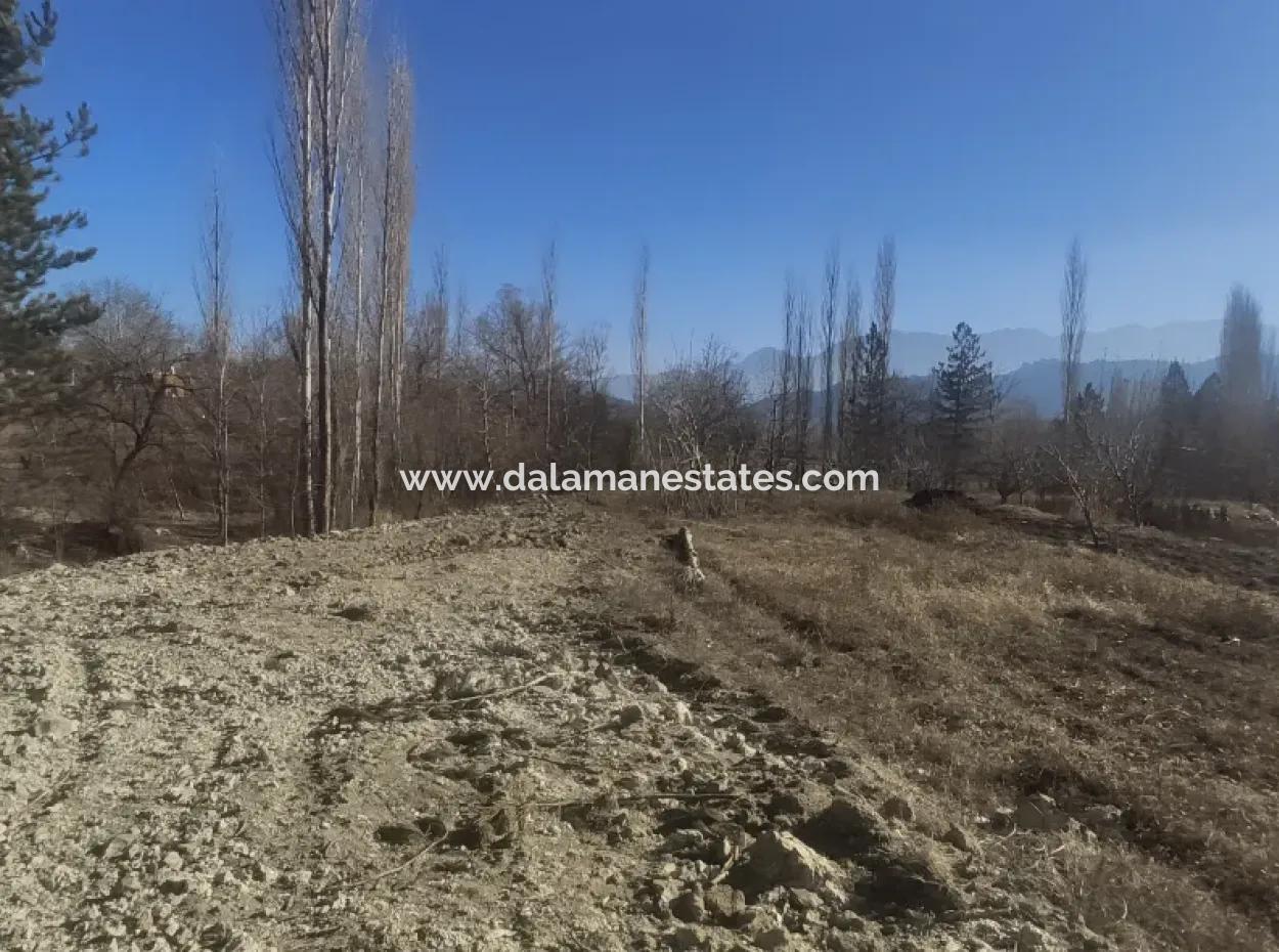 Land For Sale In Gursu Plateau