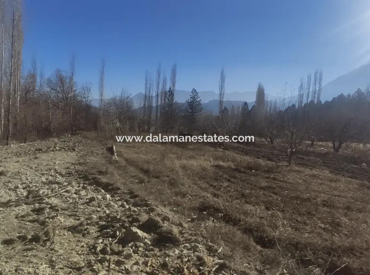 Land For Sale In Gursu Plateau