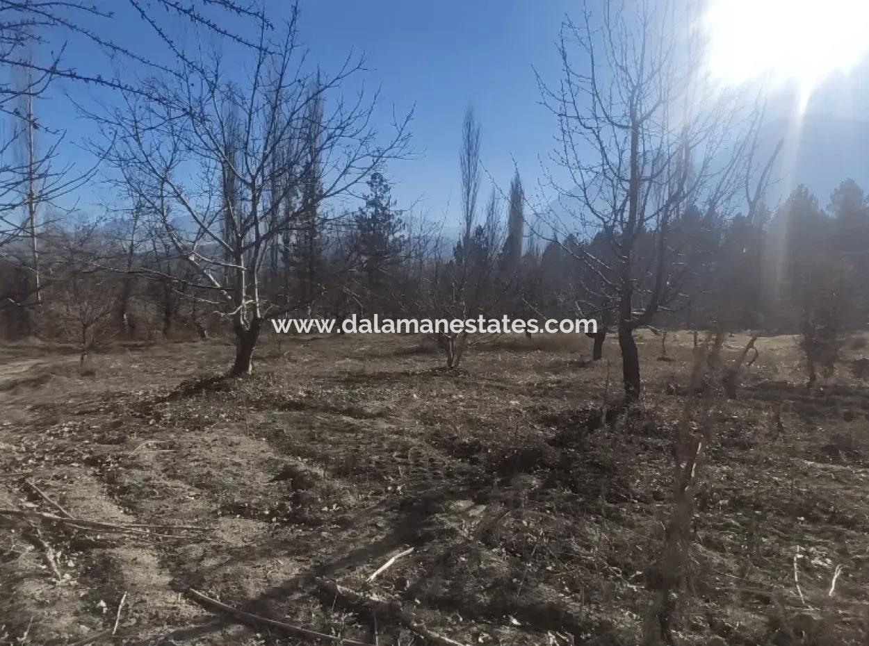 Land For Sale In Gursu Plateau