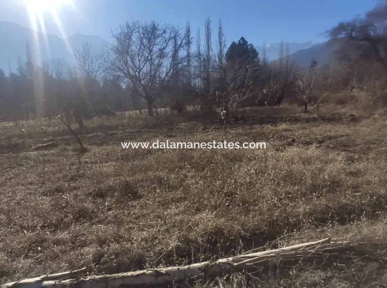 Land For Sale In Gursu Plateau