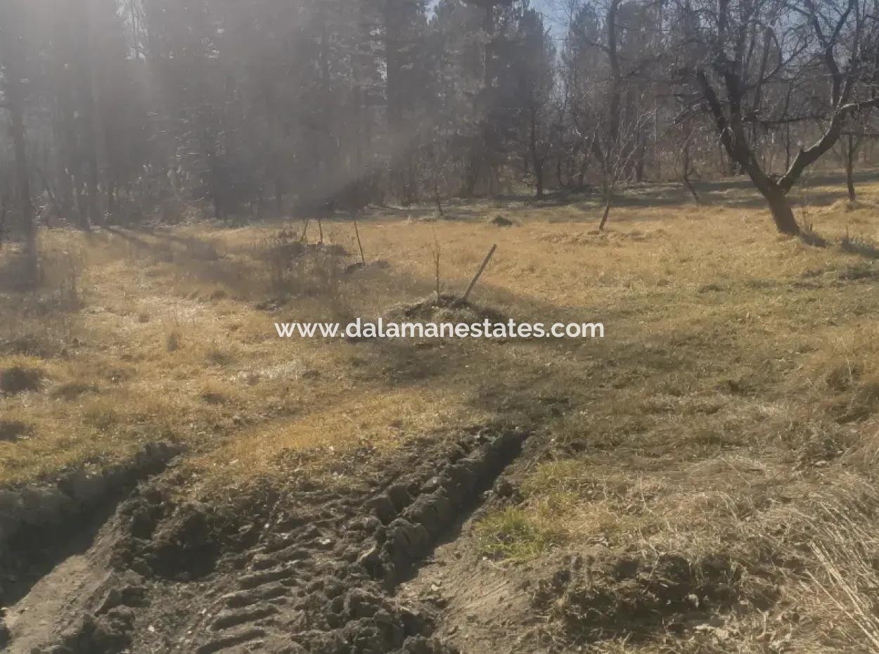 Land For Sale In Gursu Plateau