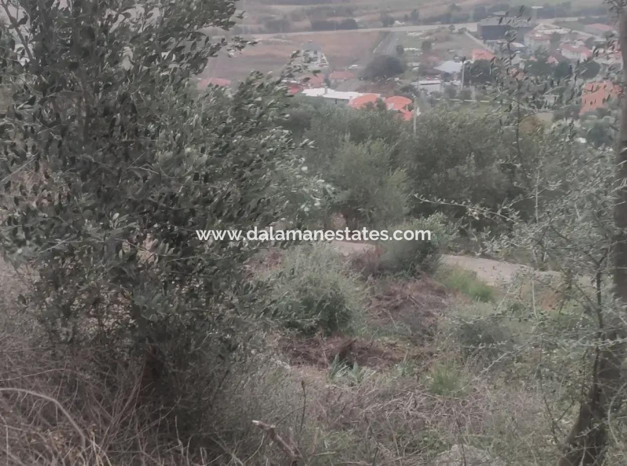 Sea View Land For Sale In Sarigermede