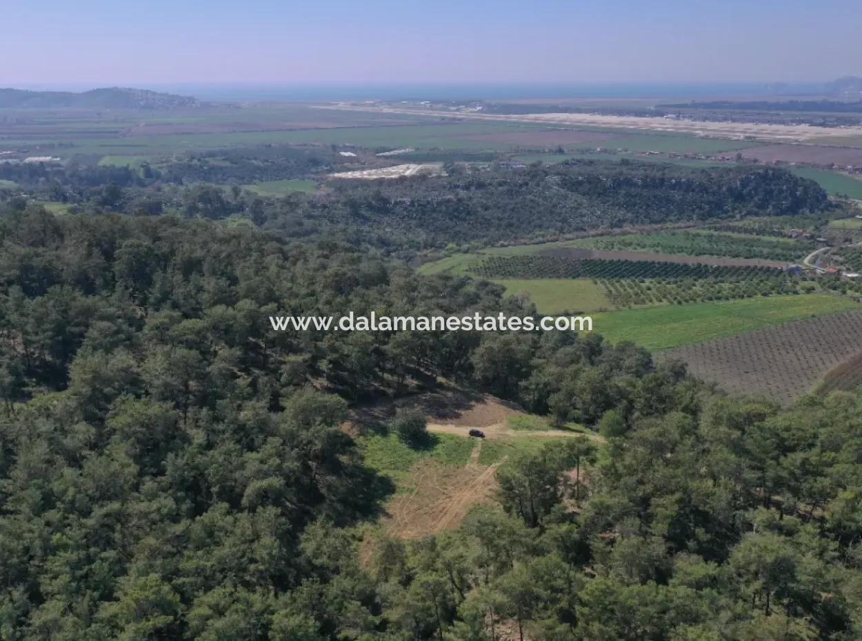 Single Title Deed For Sale In Kapikargin - Forest Interior -