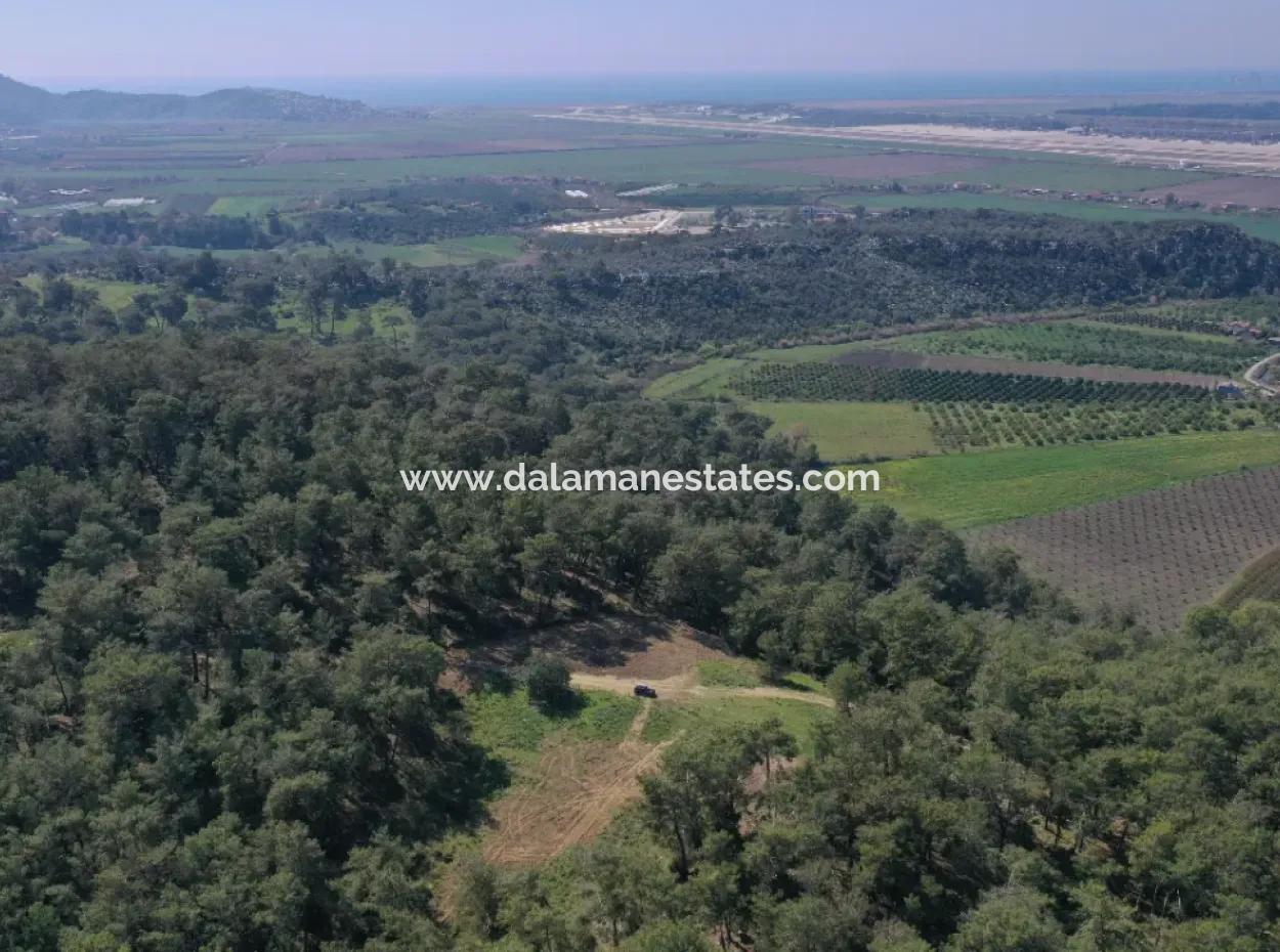 Single Title Deed For Sale In Kapikargin - Forest Interior -