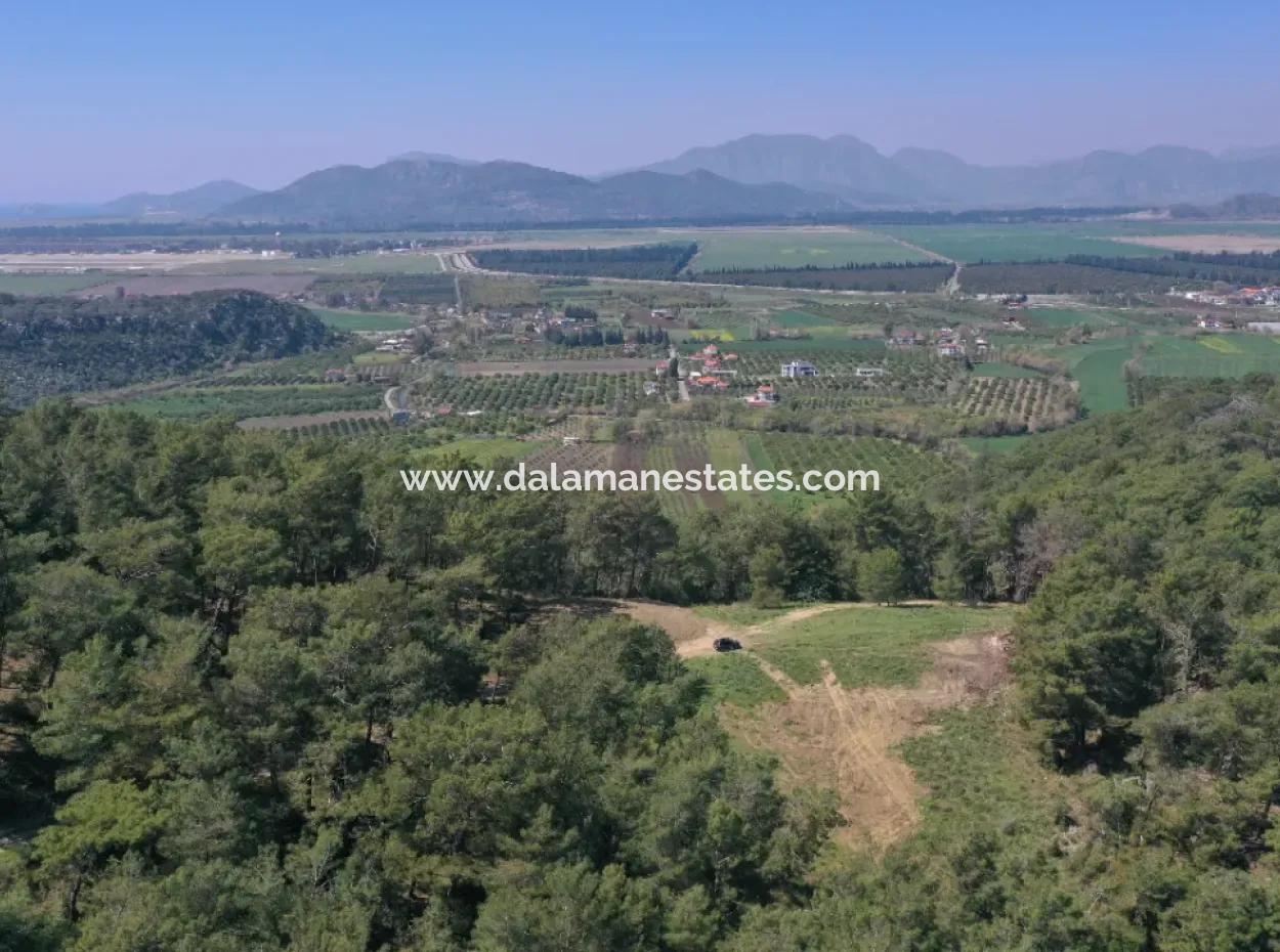 Single Title Deed For Sale In Kapikargin - Forest Interior -