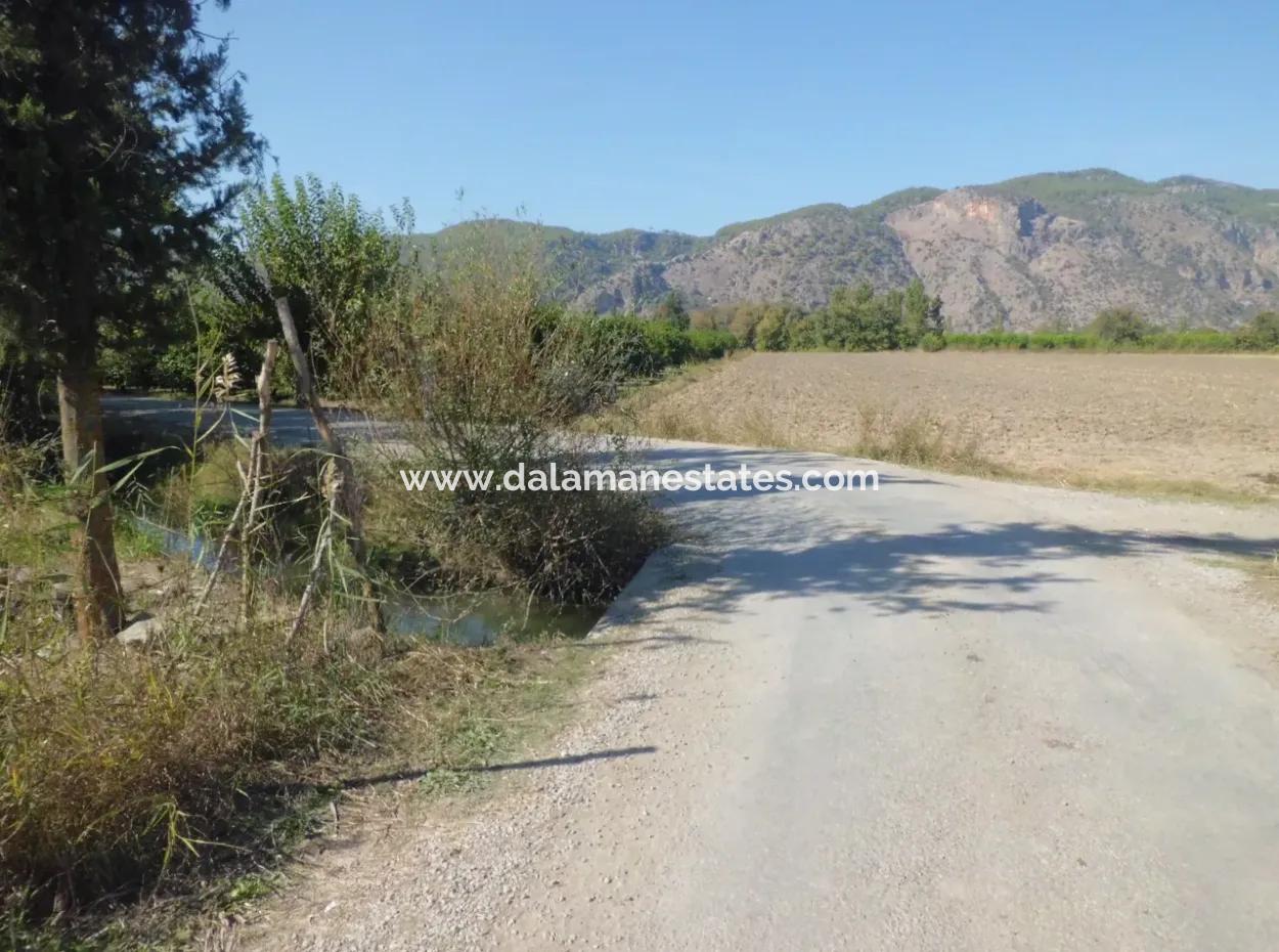 Satılık Tarla Hissesi