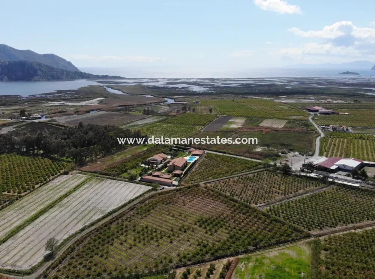 Dalyan İztuzu Yolunda Satılık Tek Tapu Tarla