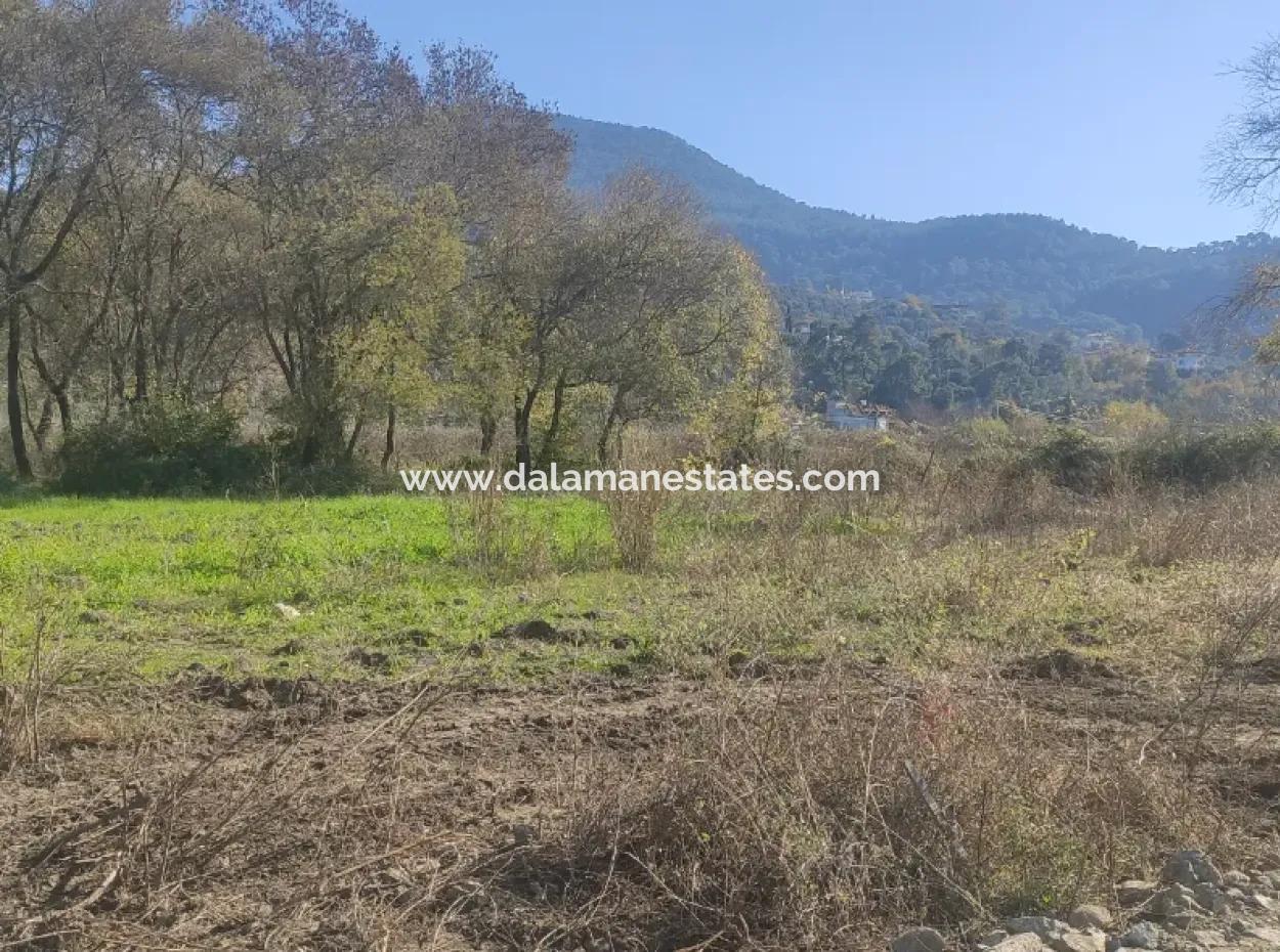 Çınar Arkası Şerefler Mahallesinde Satılık Arsa