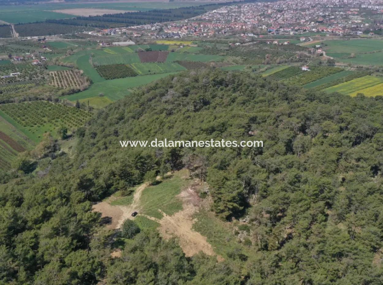 Kapıkargın'da Satılık Tek Tapu Tarla - Orman İçince -