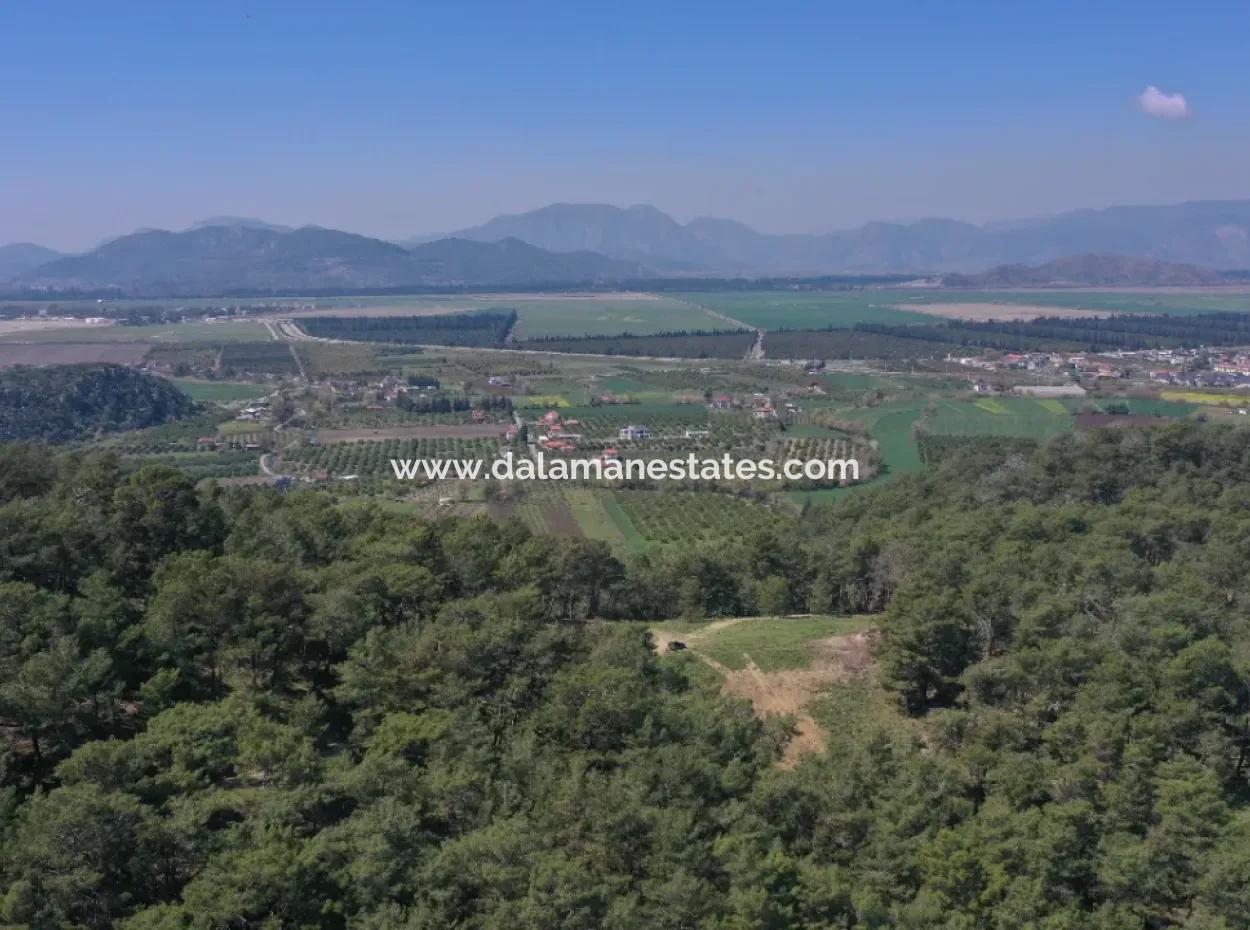 Kapıkargın'da Satılık Tek Tapu Tarla - Orman İçince -