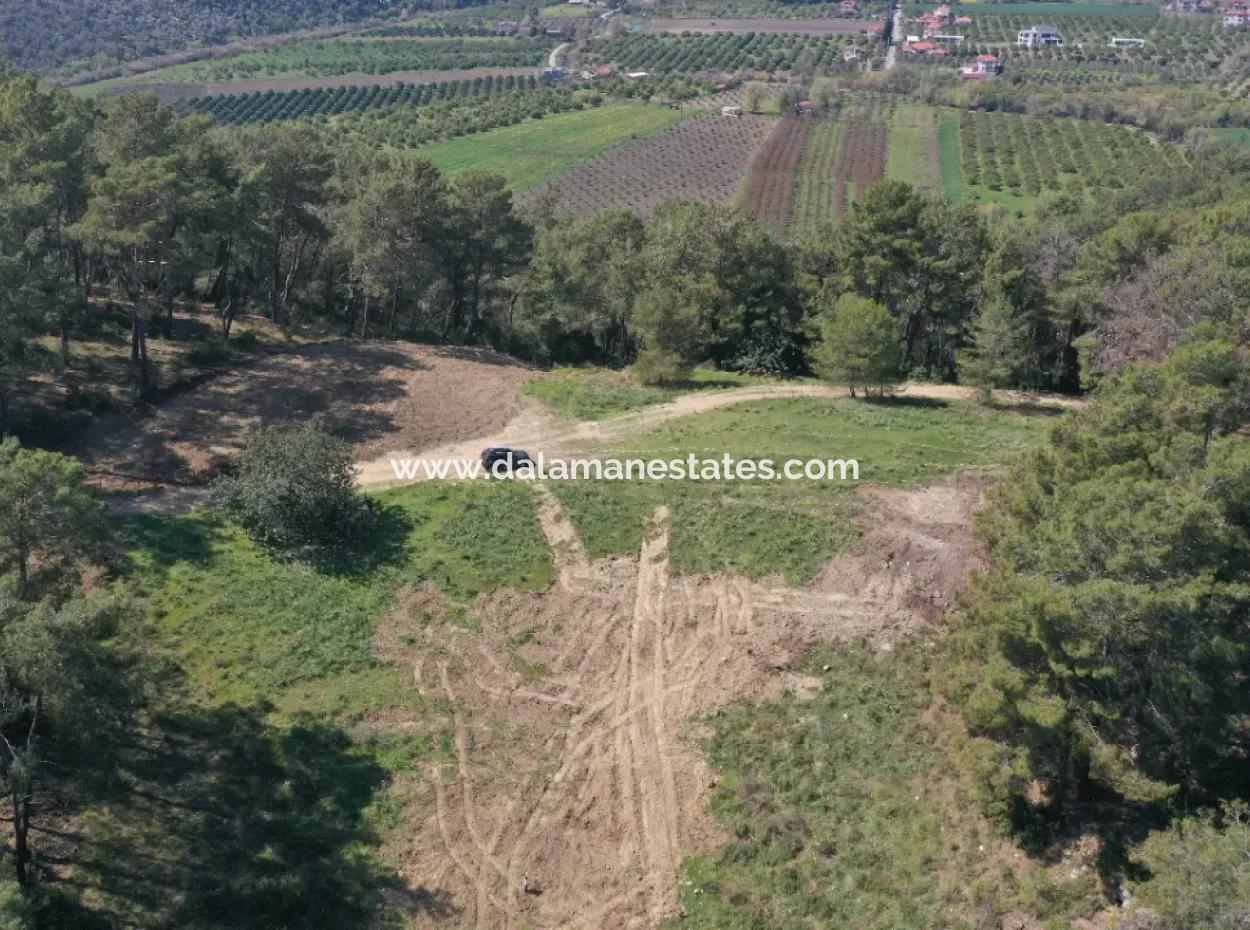 Kapıkargın'da Satılık Tek Tapu Tarla - Orman İçince -